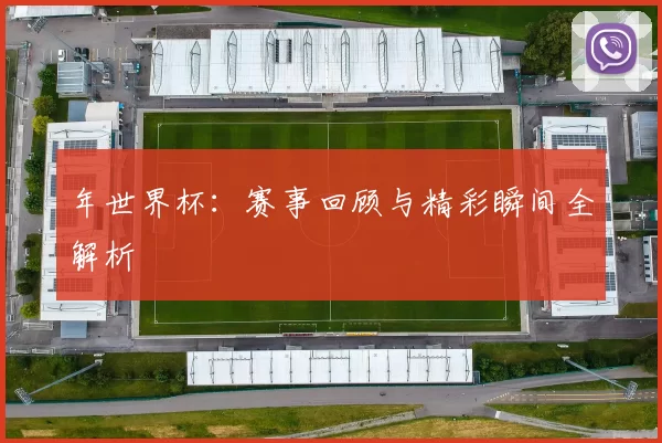 年世界杯：赛事回顾与精彩瞬间全解析