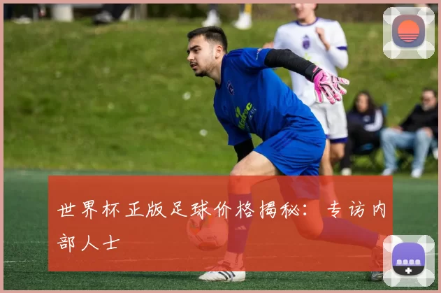 世界杯正版足球价格揭秘：专访内部人士