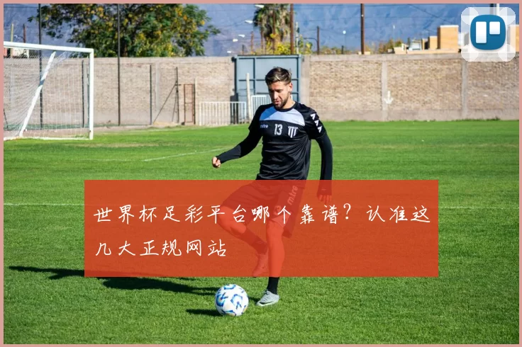 世界杯足彩平台哪个靠谱?认准这几大正规网站