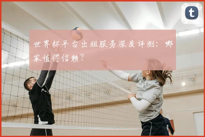 世界杯平台出租服务深度评测:哪家值得信赖?