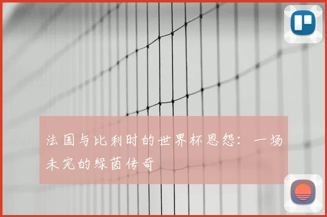 法国与比利时的世界杯恩怨:一场未完的绿茵传奇