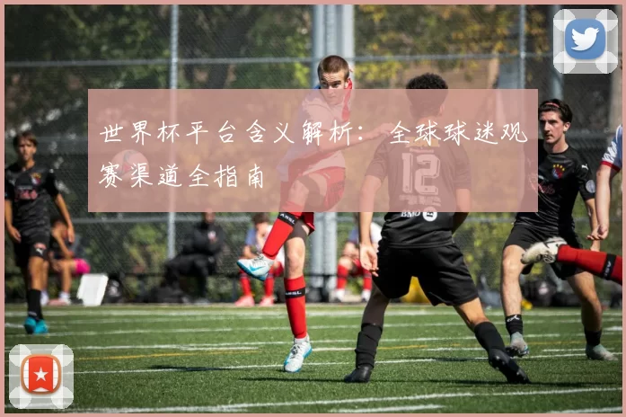 世界杯平台含义解析：全球球迷观赛渠道全指南