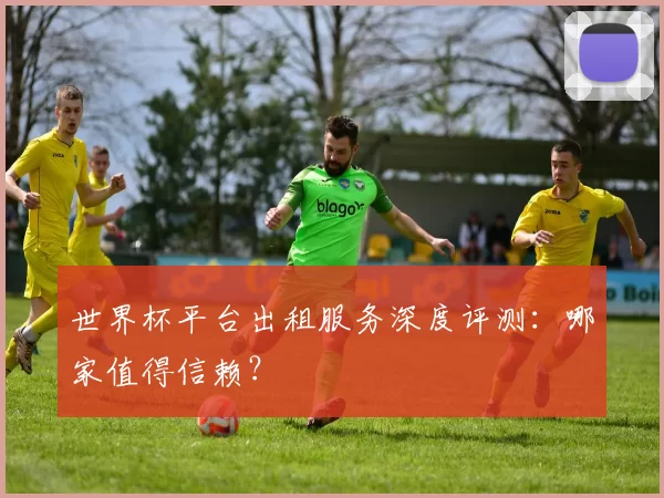 世界杯平台出租服务深度评测：哪家值得信赖？