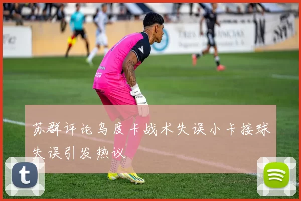 苏群评论乌度卡战术失误小卡接球失误引发热议