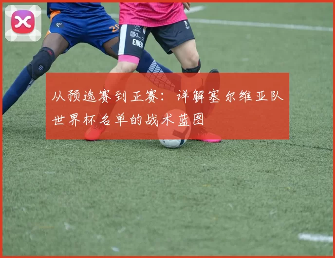 从预选赛到正赛：详解塞尔维亚队世界杯名单的战术蓝图