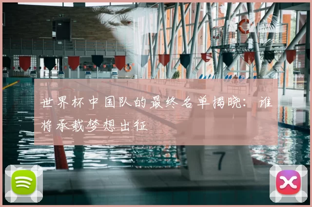 世界杯中国队的最终名单揭晓：谁将承载梦想出征