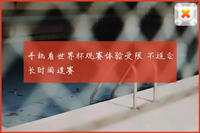 手机看世界杯观赛体验受限 不适合长时间追赛