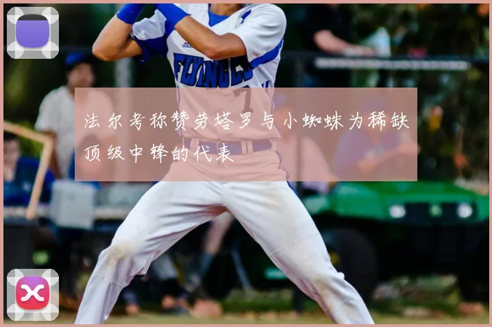 法尔考称赞劳塔罗与小蜘蛛为稀缺顶级中锋的代表