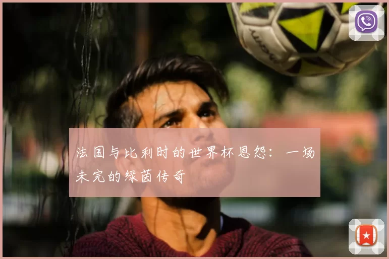 法国与比利时的世界杯恩怨:一场未完的绿茵传奇