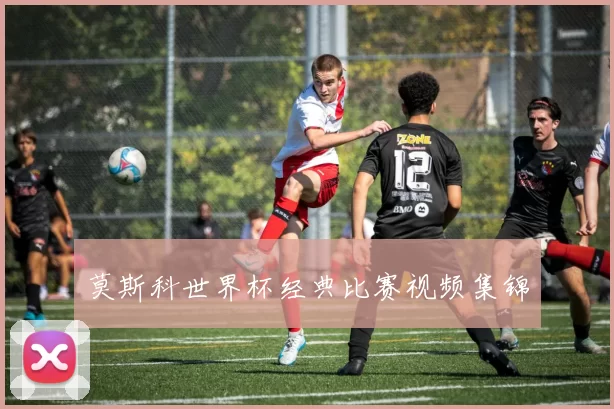 莫斯科世界杯经典比赛视频集锦