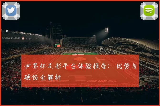 世界杯足彩平台体验报告:优势与硬伤全解析